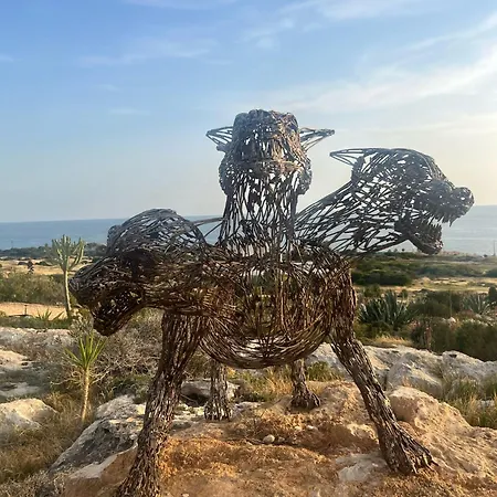 Mandarin Παραλίμνι