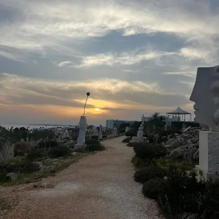 Mandarin * Paralimni