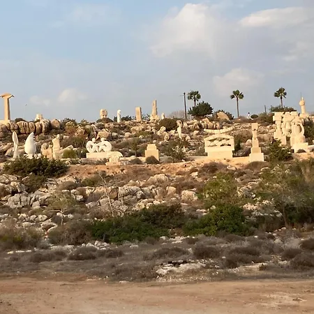 Mandarin * Paralimni