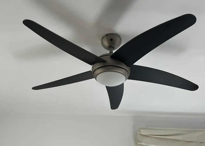 Mandarin פאראלימני